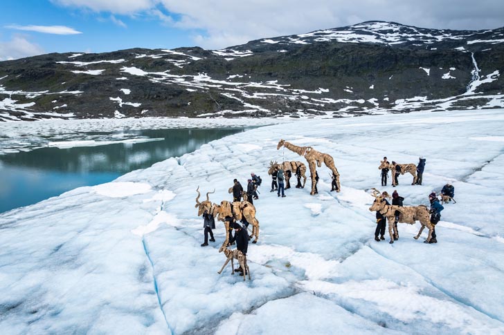 6940542d04d14ab8dba4746e the herds puppets norway